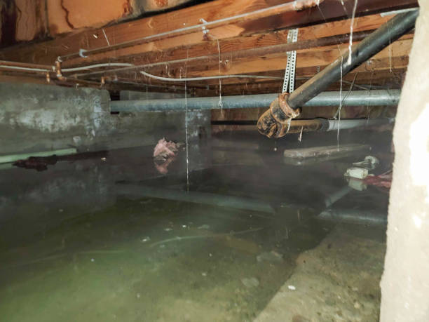 Best Water damage restoration near me  in Marion, KY