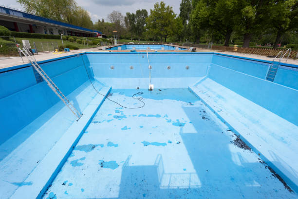 Best Flood damage cleanup  in Marion, KY
