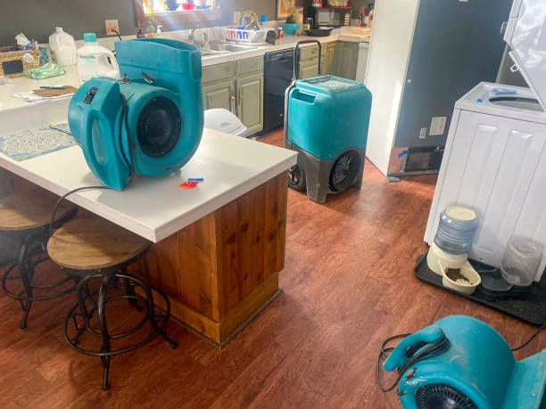 Best 24/7 water damage repair  in Marion, KY