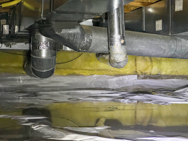 Best Flooded house restoration  in Marion, KY